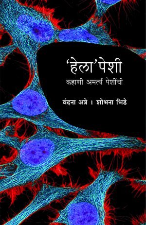 helapeshi-kahani-amartya-peshinchi-%e0%a4%b9%e0%a5%87%e0%a4%b2%e0%a4%be%e0%a4%aa%e0%a5%87%e0%a4%b6%e0%a5%80-%e0%a4%95%e0%a4%b9%e0%a4%be%e0%a4%a3%e0%a5%80-%e0%a4%85%e0%a4%ae%e0%a4%b0%e0%a5%8d