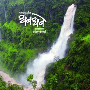 maharashtratil-dhabdhabe-%e0%a4%ae%e0%a4%b9%e0%a4%be%e0%a4%b0%e0%a4%be%e0%a4%b7%e0%a5%8d%e0%a4%9f%e0%a5%8d%e0%a4%b0%e0%a4%be%e0%a4%a4%e0%a5%80%e0%a4%b2-%e0%a4%a7%e0%a4%ac%e0%a4%a7%e0%a4%ac%e0%a5%87